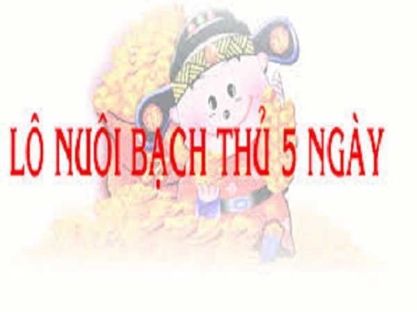 cách nuôi lô bạch thủ khung 5 ngày từ nhà cái top88